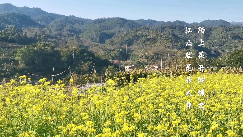 [图]陌上花三首其一 宋 苏轼