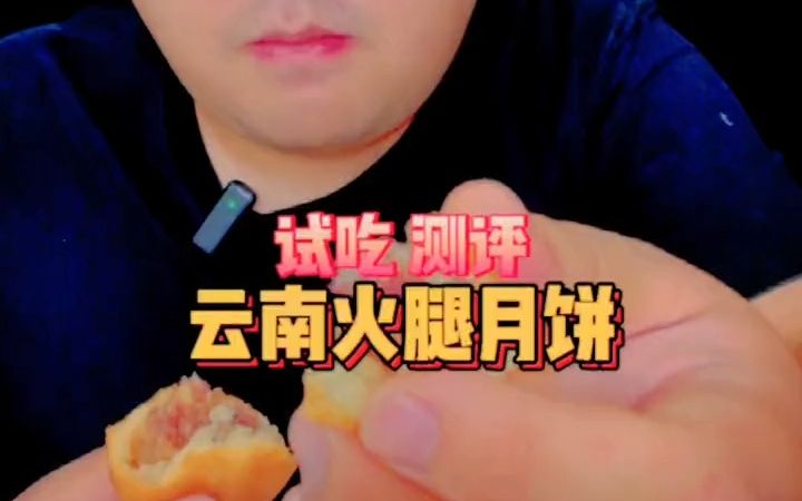 云南火腿月饼测评!哔哩哔哩bilibili