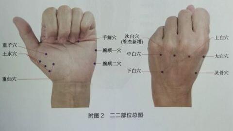 董氏奇穴”理论篇-人体各部位穴位总图_哔哩哔哩_bilibili 董氏奇穴”理论篇-人体各部位穴位总图_哔哩哔哩_Bilibili