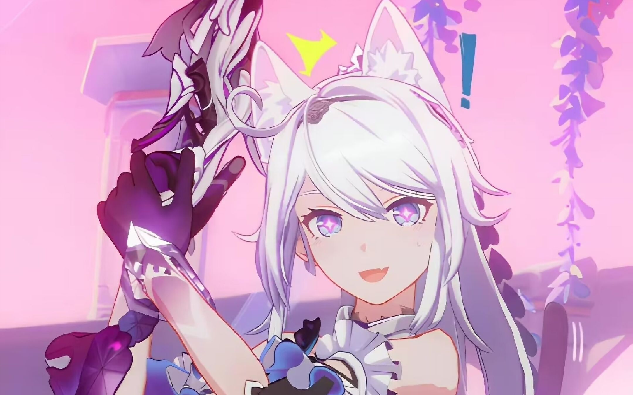 是究极无敌巨tm可爱的琪猫猫