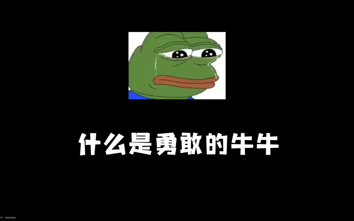 牛牛出击:挑战龟责,无所畏惧!哔哩哔哩bilibili