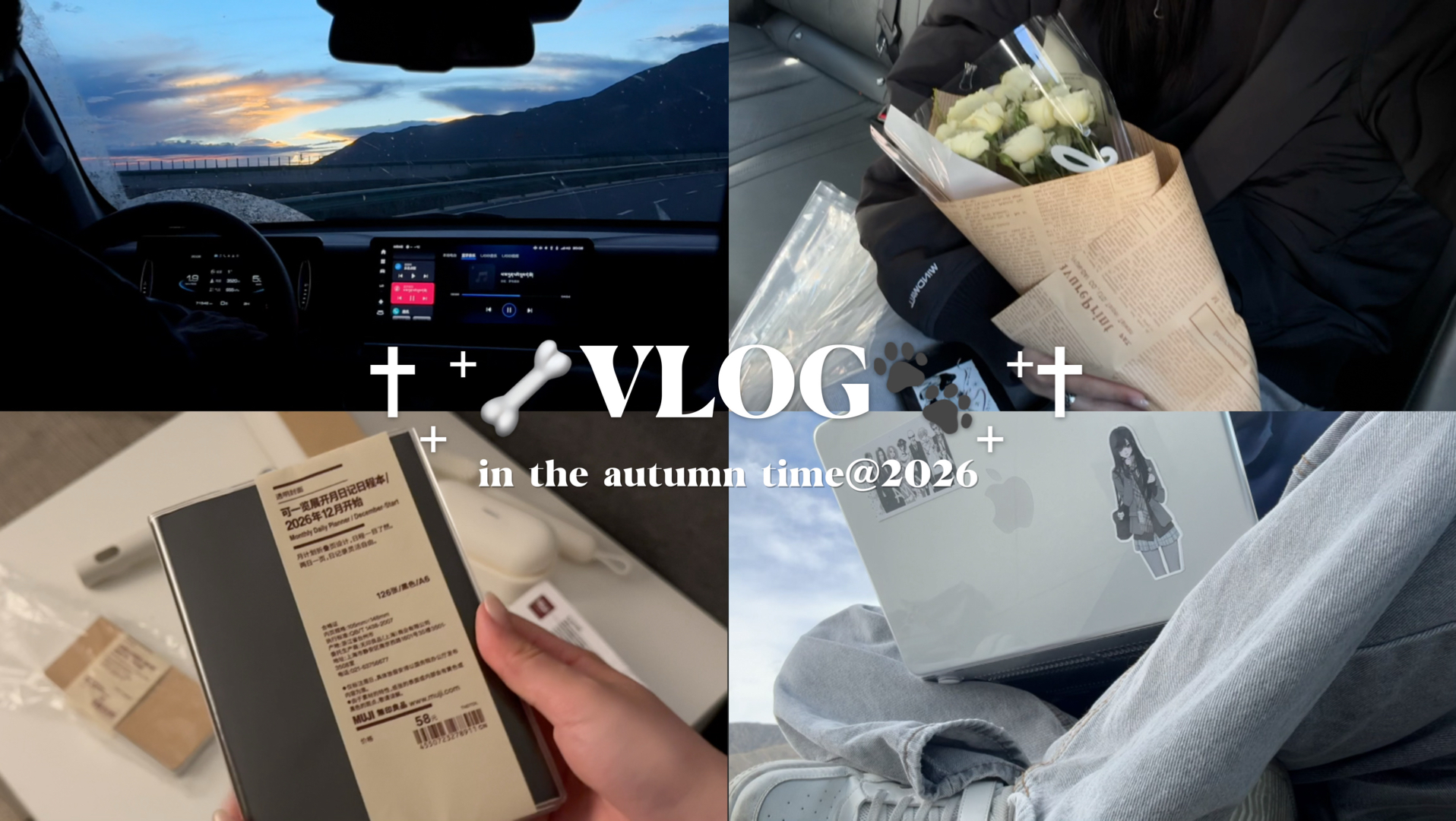 vlog·work·alive<地球online什么时候能把我悄悄升级一下>总有一天世界的齿轮会和我们磨合在一起/八月九月の初秋回忆录/希望我们都能肆意享受阳光