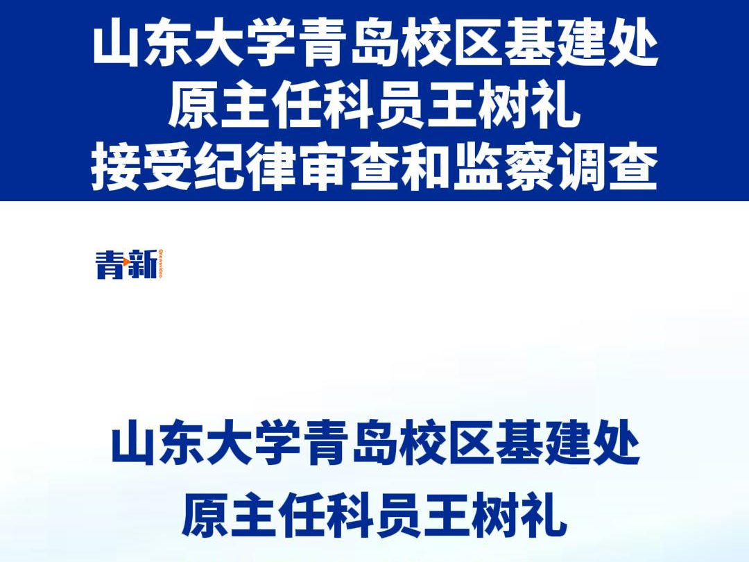 山东大学青岛校区基建处原主任科员王树礼接受纪律审查和监察调查哔哩哔哩bilibili