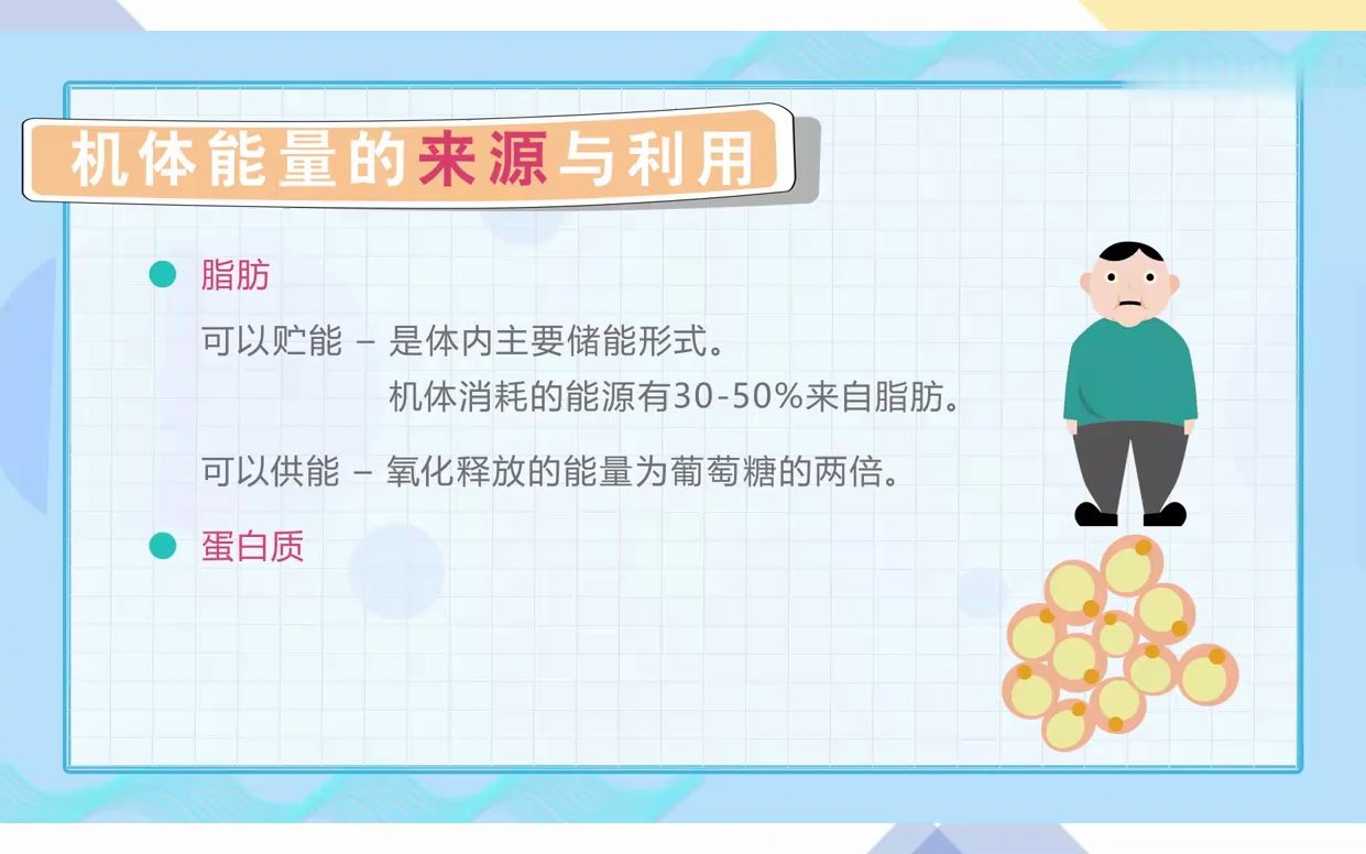 7.1 能量代谢视频哔哩哔哩bilibili