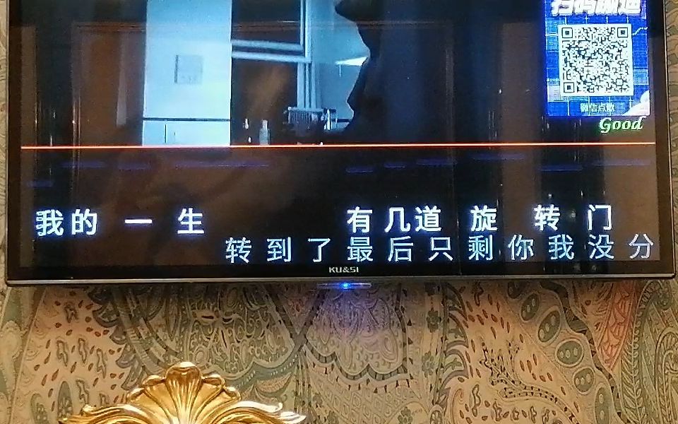 快乐子KTV《达尔文》原唱:蔡健雅哔哩哔哩bilibili