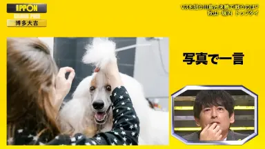 大喜利-哔哩哔哩_Bilibili