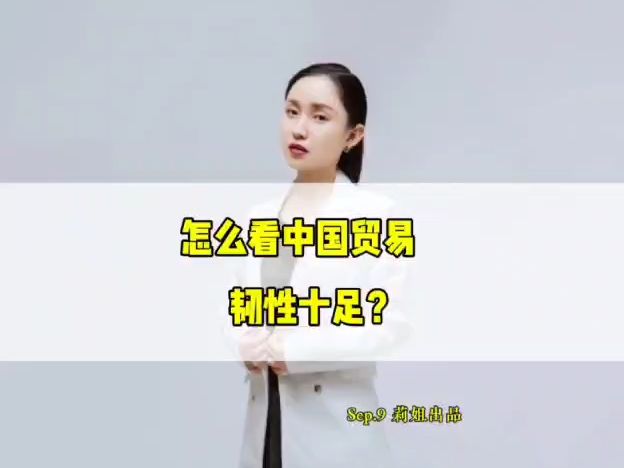 怎么看中国贸易韧性十足?#地产莉姐#经济#财经哔哩哔哩bilibili