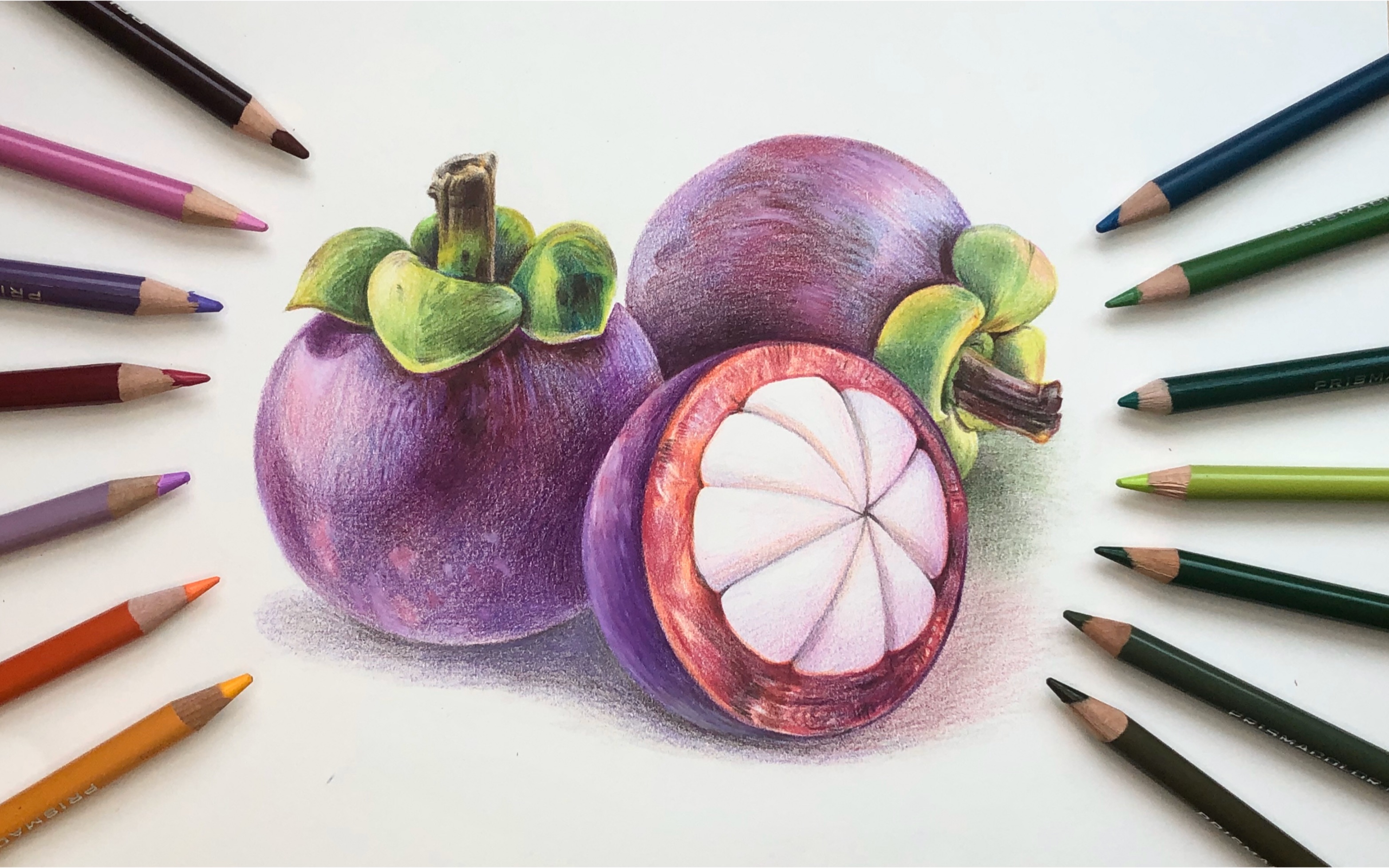 彩铅手绘插画教程视频 我最喜欢的山竹_哔哩哔哩 (゜-゜)つロ 干杯
