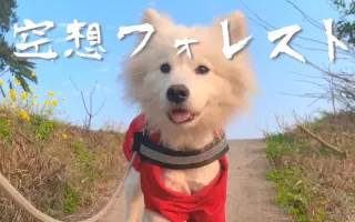 空想动物 搜索结果 哔哩哔哩弹幕视频网 つロ乾杯 Bilibili 空想动物 搜索结果 哔哩哔哩弹幕视频网 つロ乾杯 Bilibili