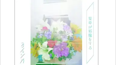 夏草が邪魔をする-哔哩哔哩_Bilibili