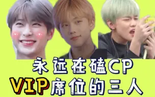 Descargar video: 【郑在玹/辰乐/志晟】NCT队内磕CP永远在VIP坐席的三人组