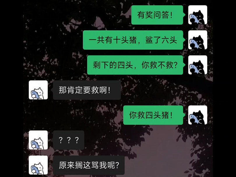 《有奖问答》哔哩哔哩bilibili