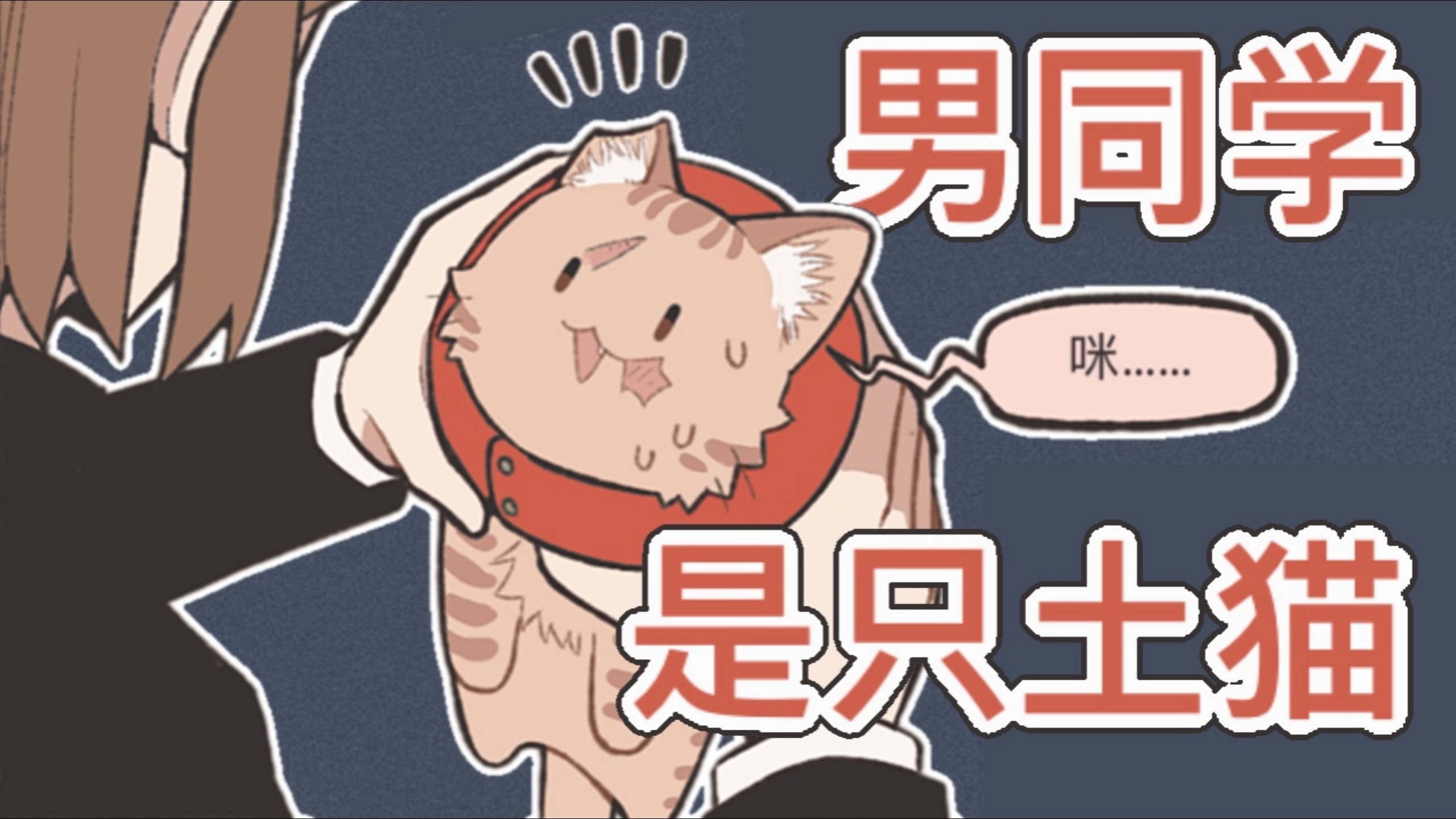 男同学是只土猫【B萌应援】