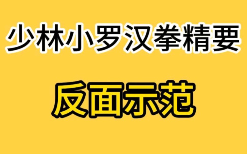 [图]#少林功夫段品制 七段: #少林小罗汉拳精要 反面示范，欢迎武术爱好者、武馆教练、武术从业者、学生和家长前来#少林寺 #少林功夫段品制接待处 考察交流#少林功夫