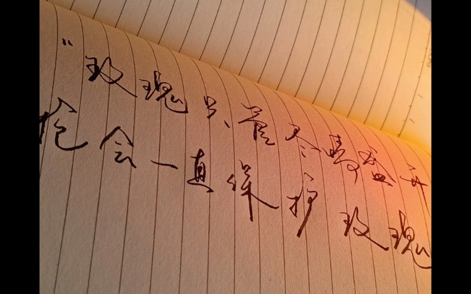 一些氛围感文案拍照合集|手写61书籍