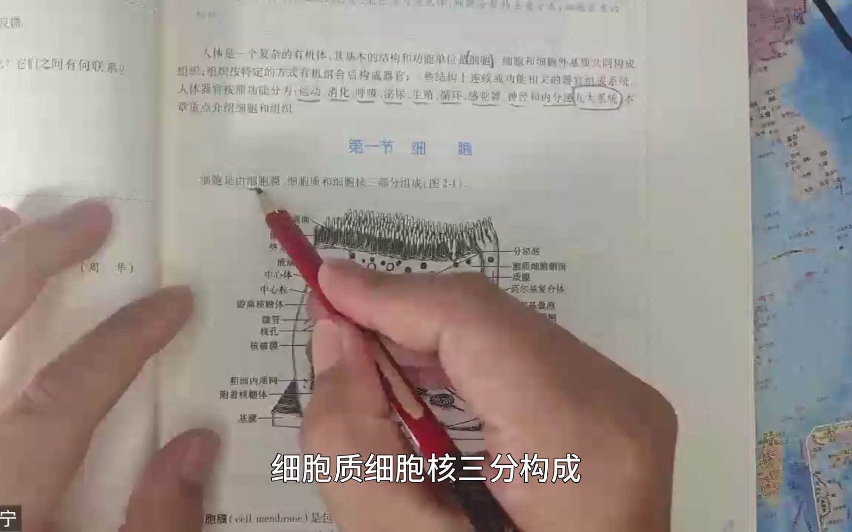 [图]人体解剖生理学第二章