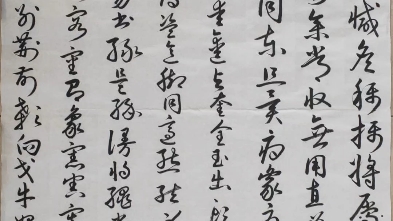 [图]今日作业:草书《草诀百韵歌》《怀素小草千字文》，绘画《两组石头》，摄影《静静的沂河》