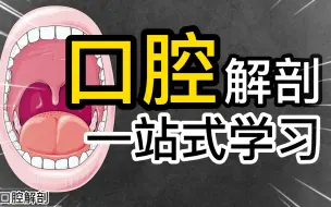 Download Video: 【解剖百科】口腔解剖！一站式学习！