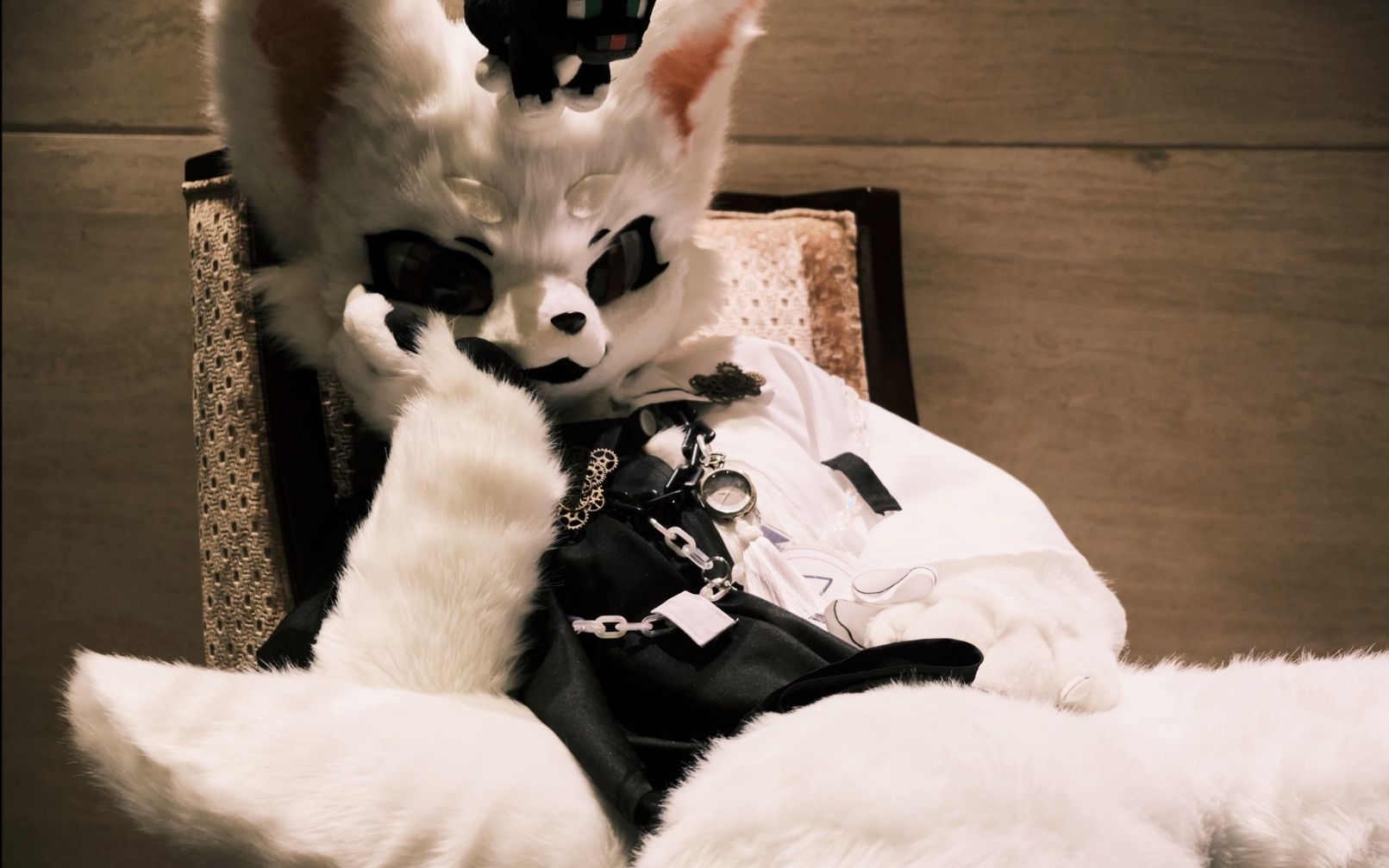 【毛毛日记】08 无序特辑第二期!