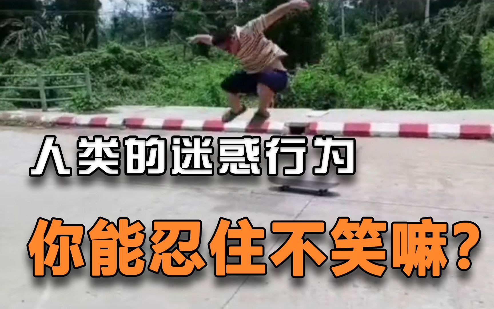 每日一遍谨防抑郁沙雕人类的迷惑行为你能忍住不笑吗