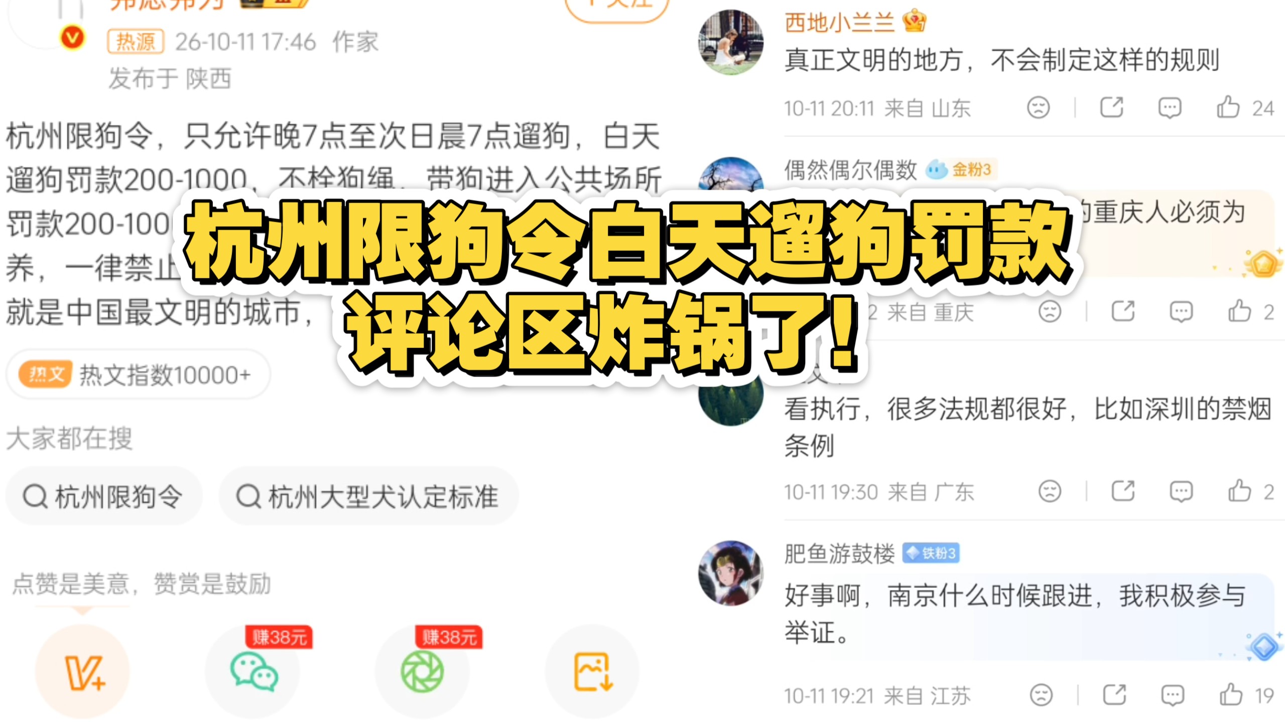 杭州限狗令白天遛狗罚款，评论区炸锅了！