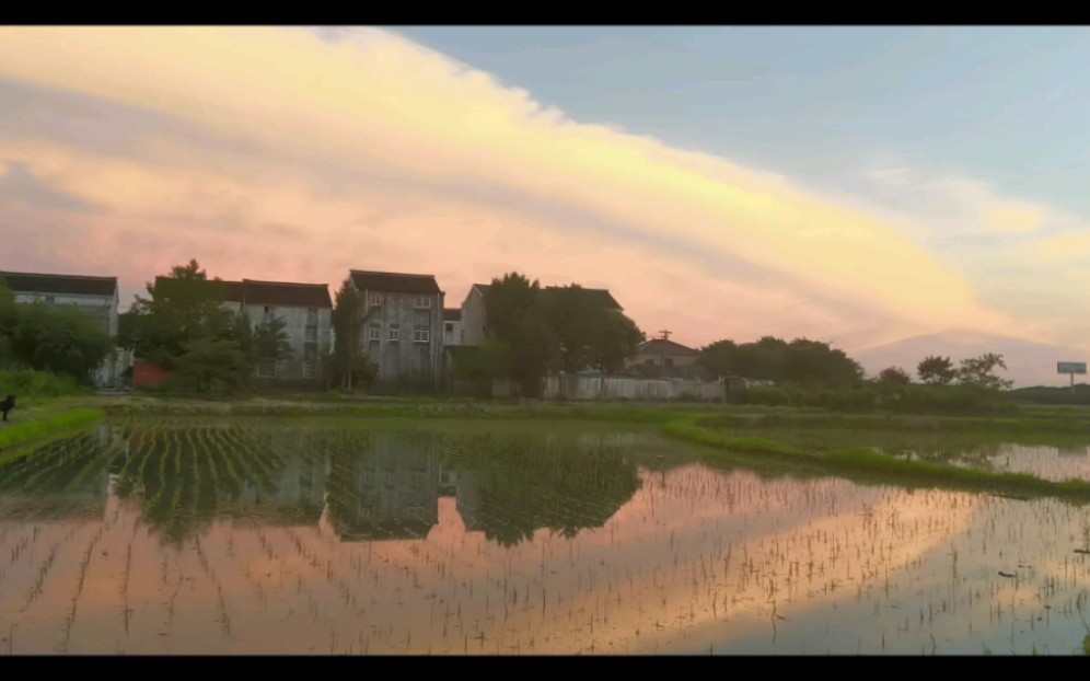 [图]得胜乐·夏酷暑天，葵榴发，喷鼻香十里荷花。