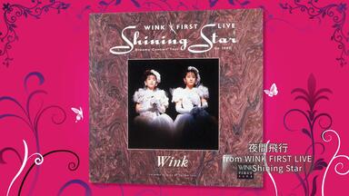 淋しい熱帯魚- Wink（1989年Live）_哔哩哔哩_bilibili