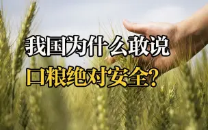 Descargar video: 什么叫粮食安全？我国为什么敢说口粮“绝对安全”？