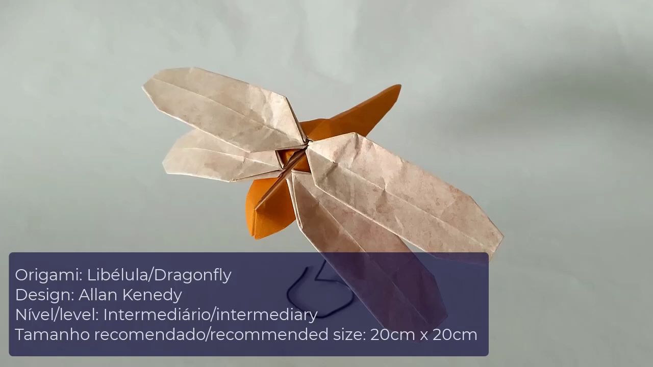 【allan origami】蜻蜓折纸教程orgami libélula (dragonfly)