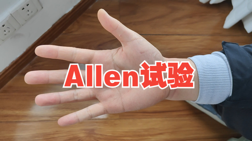 掏出右手!涨点知识!:Allen试验哔哩哔哩bilibili