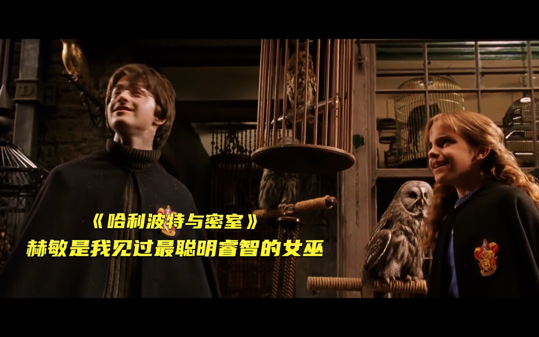 【哈利波特与密室】看点3：赫敏是我见过最聪明睿智的女巫