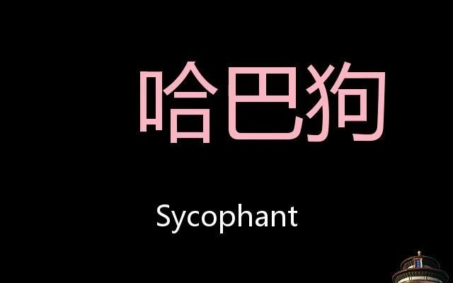哈巴狗 chinese pronunciation sycophant