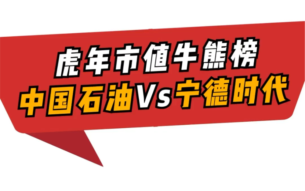 中国石油Vs宁德时代 令人唏嘘的虎年市值牛熊榜哔哩哔哩bilibili