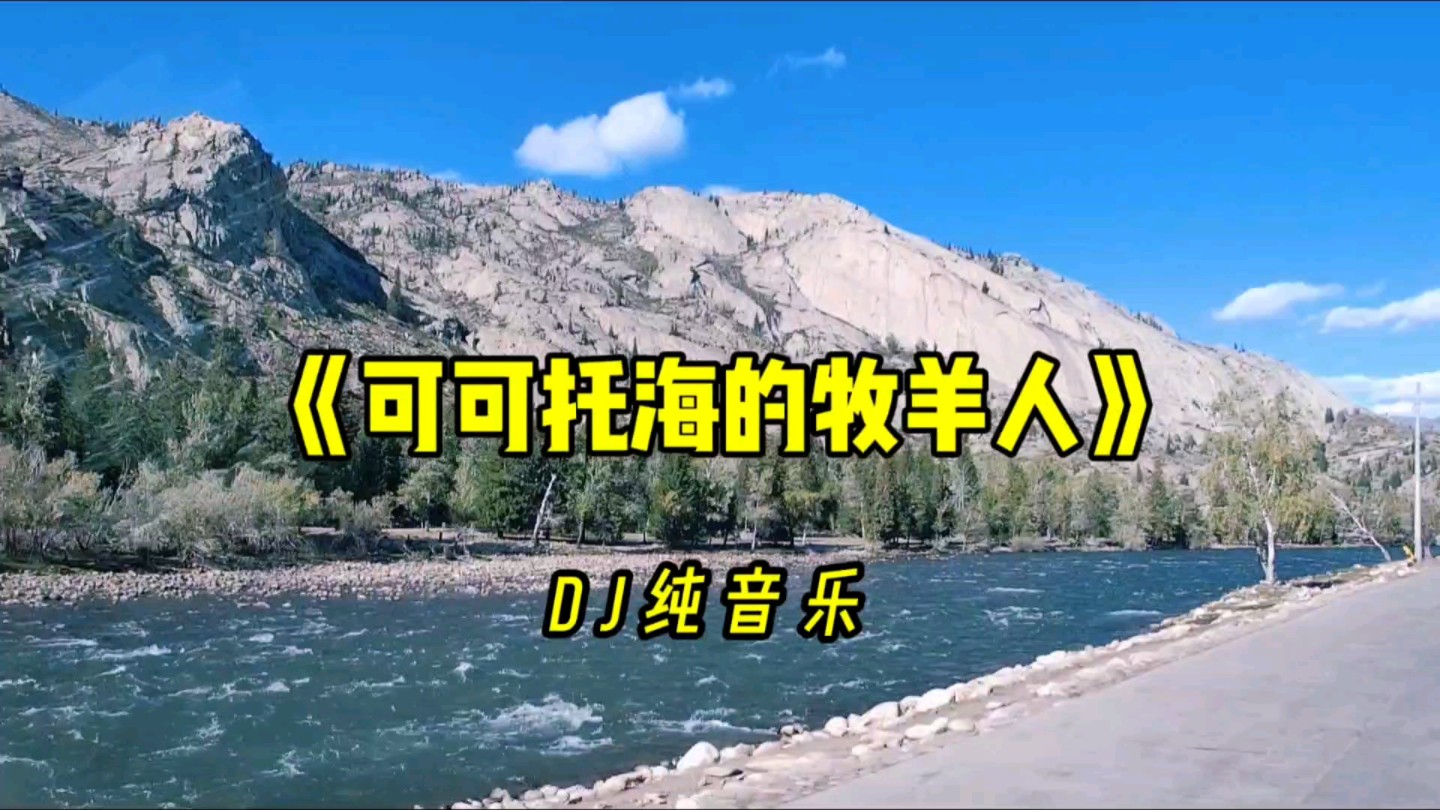 DJ纯音乐《可可托海的牧羊人》,旋律优美,动感十足哔哩哔哩bilibili