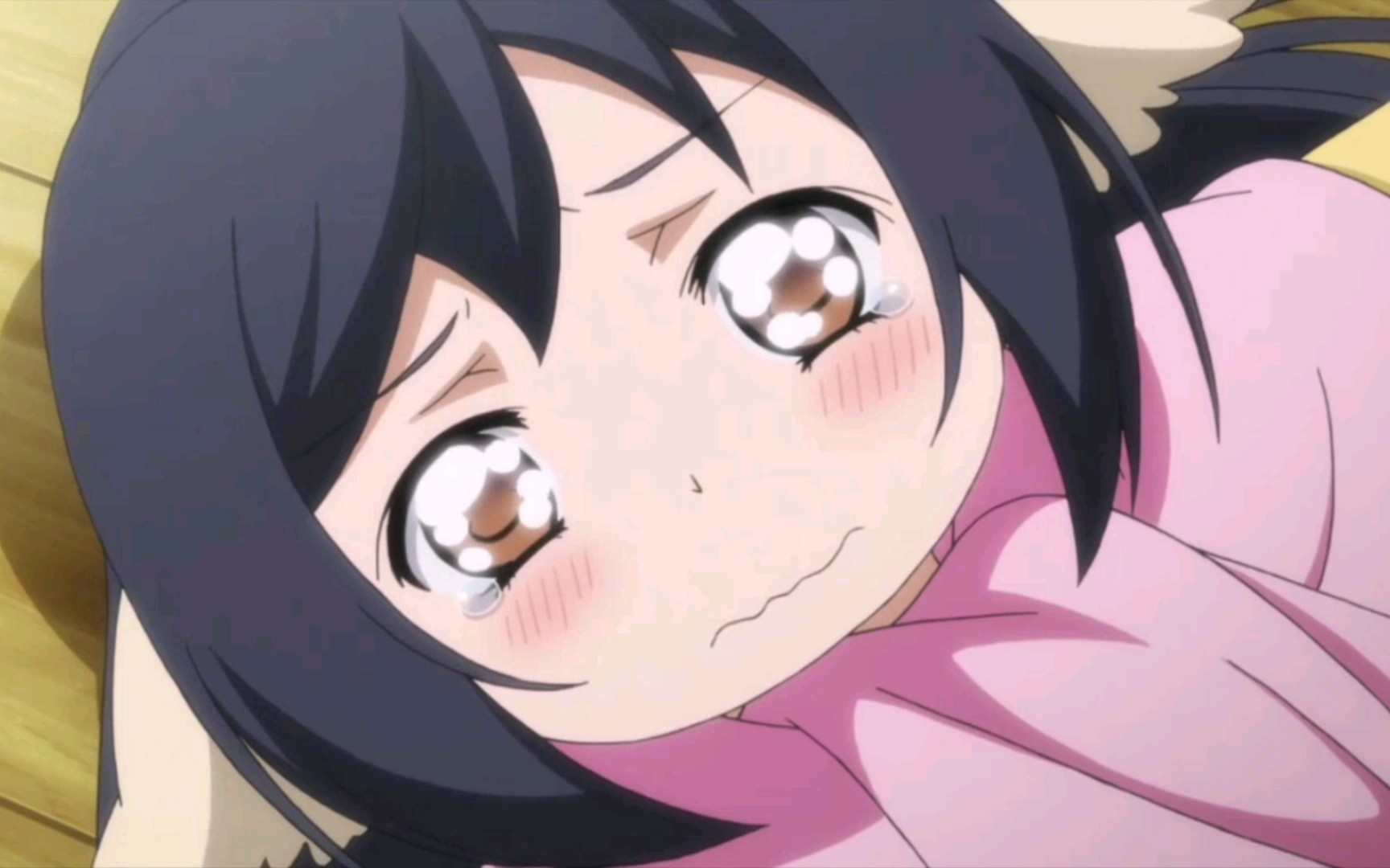 谁能拒绝一只可爱的小久远呢93