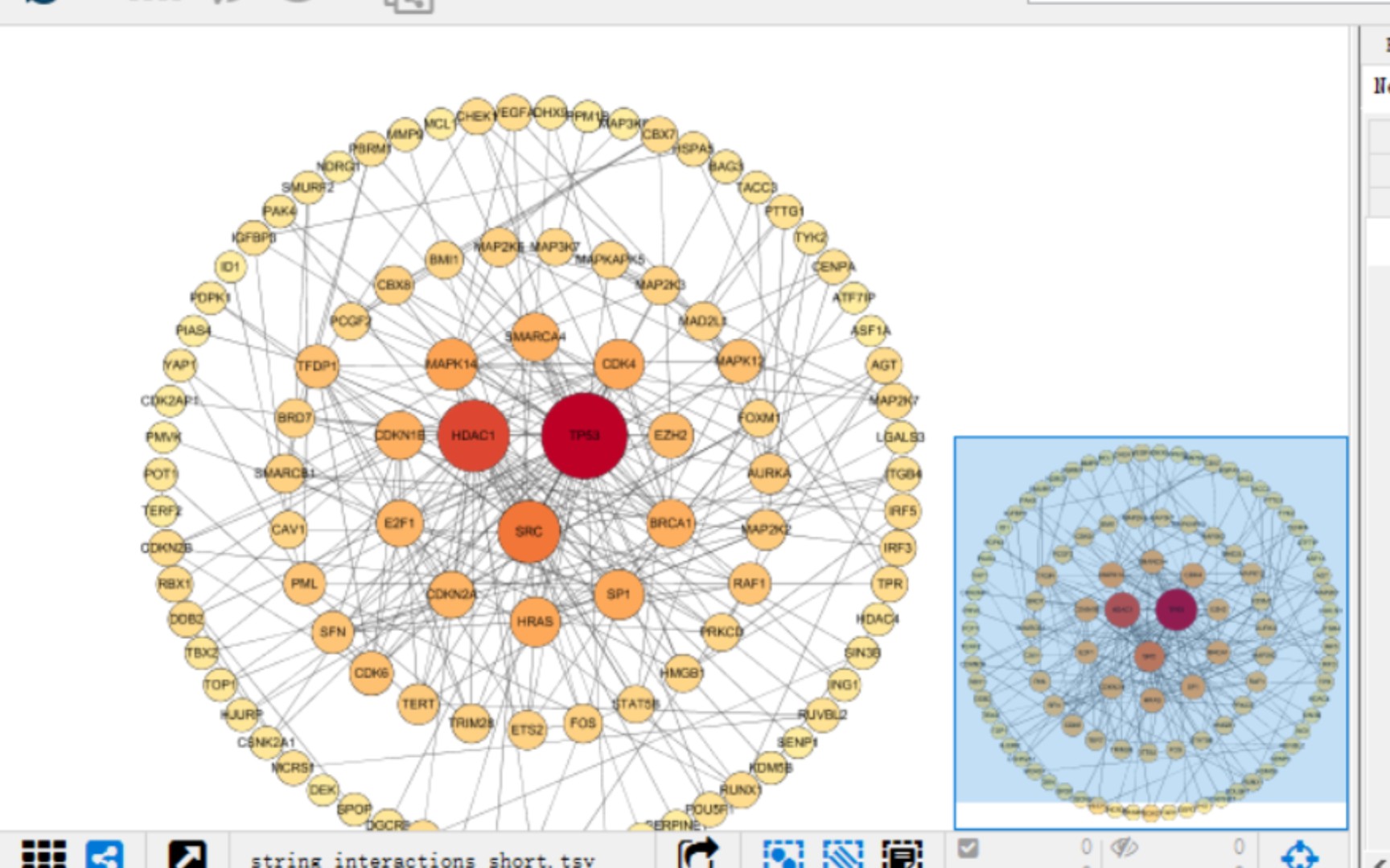 如何用cytoscape做一个美观精致的PPI网络图?下期出string网站的教程,点个关注持续关注吧~哔哩哔哩bilibili