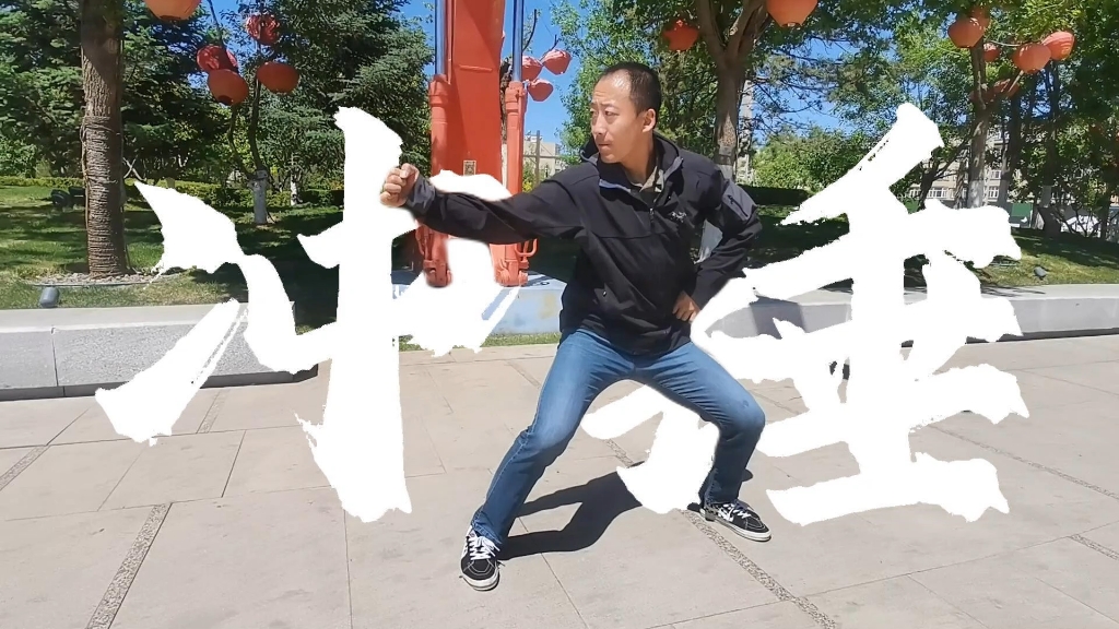 八极拳上步撑锤