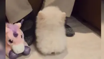 这也太萌了吧!