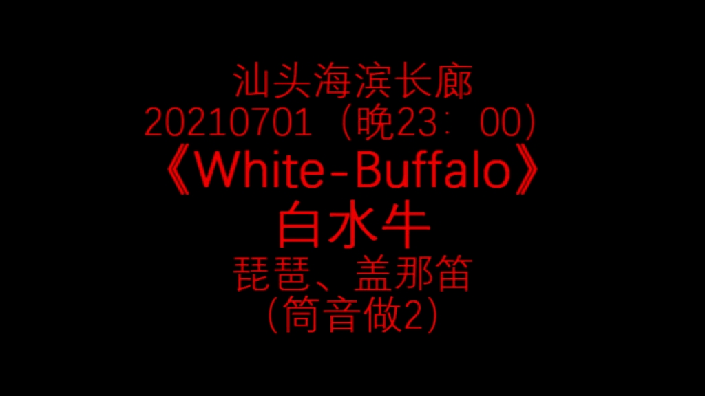 [图]20210701（晚23：00）。汕头海滨长廊-《White-Buffalo》白水牛-琵琶、盖那笛