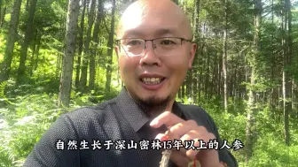 Download Video: 纯野山参没那么多，弄不明白的话，上当几率更大