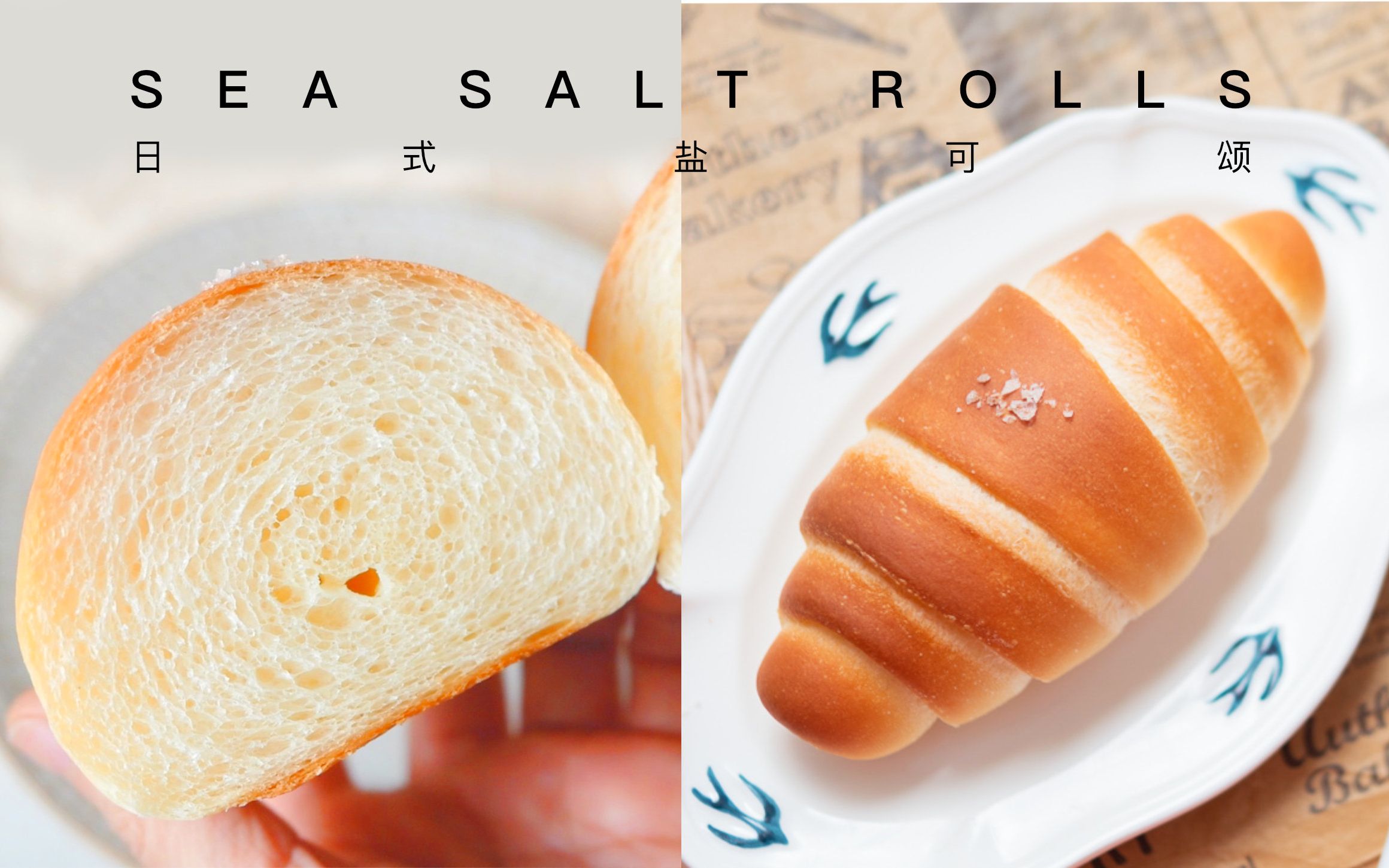 如果不能吃它,人生还有什么快乐!【盐可颂 海盐卷】