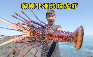 Télécharger la video: 《科摩罗》第1集：独闯非洲神秘岛国，深海诡异怪声环绕，还好最后大龙虾收获满满