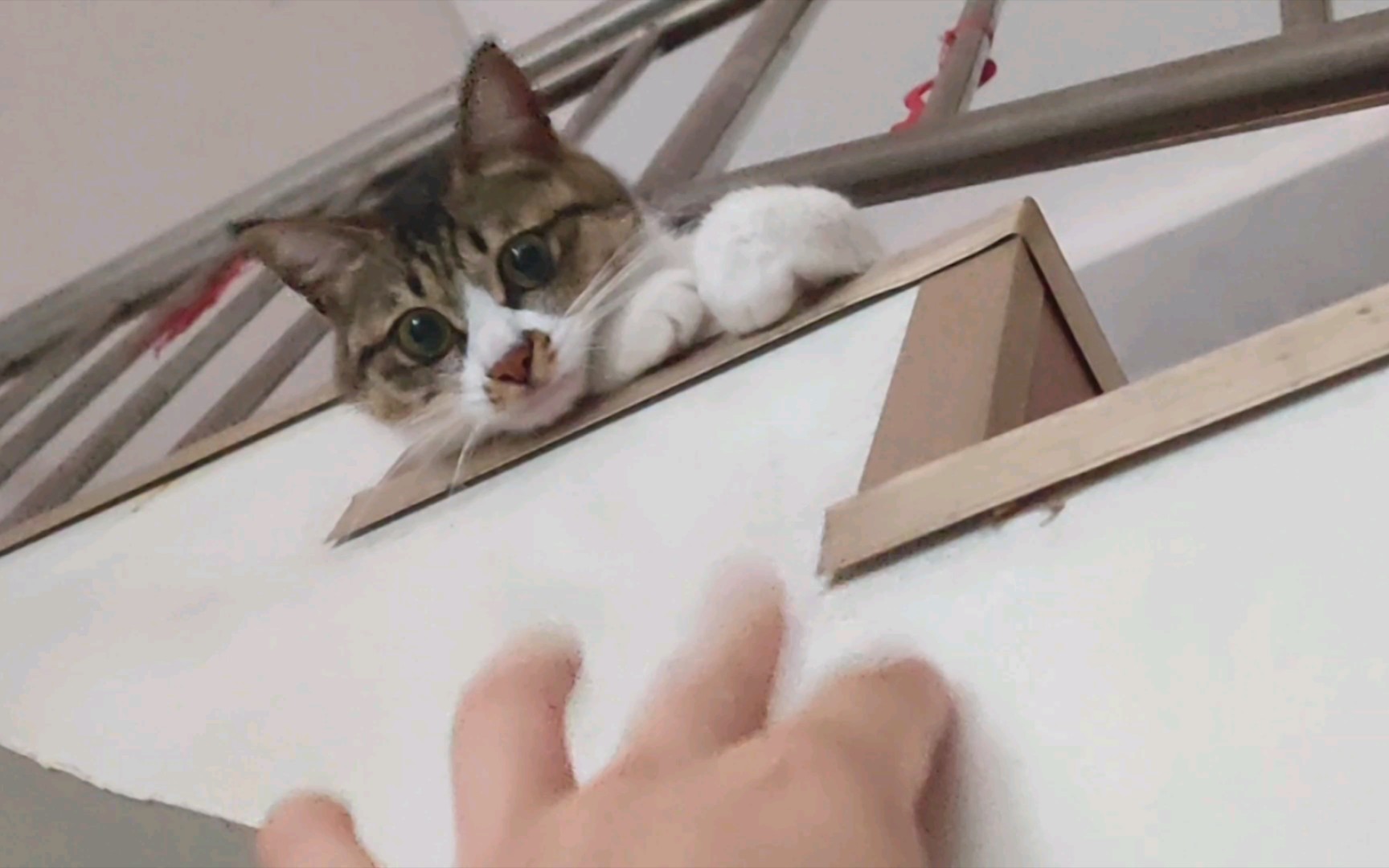 活动作品腿太短够不到三十