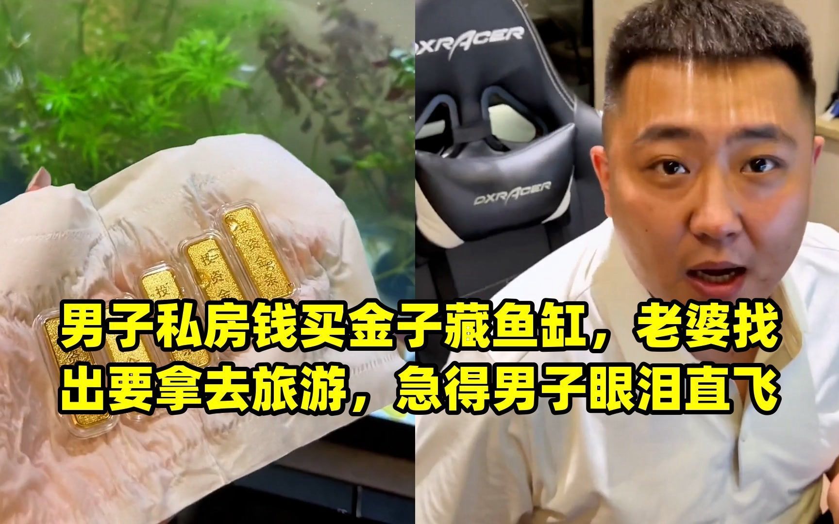 男子私房钱买金子藏鱼缸,老婆找出要拿去旅游,急得男子眼泪直飞