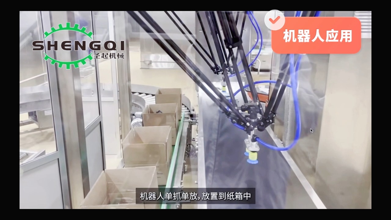 食品药品并联机器人自动分拣装箱生产线