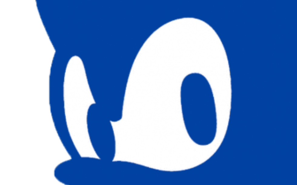 (同人)sonic 2 30th anniversary