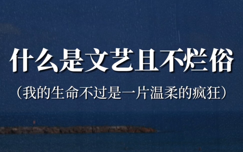 “走得突然,我们来不及告别,这样也好,因为我们永远不告别”‖什么是文艺且不烂俗哔哩哔哩bilibili