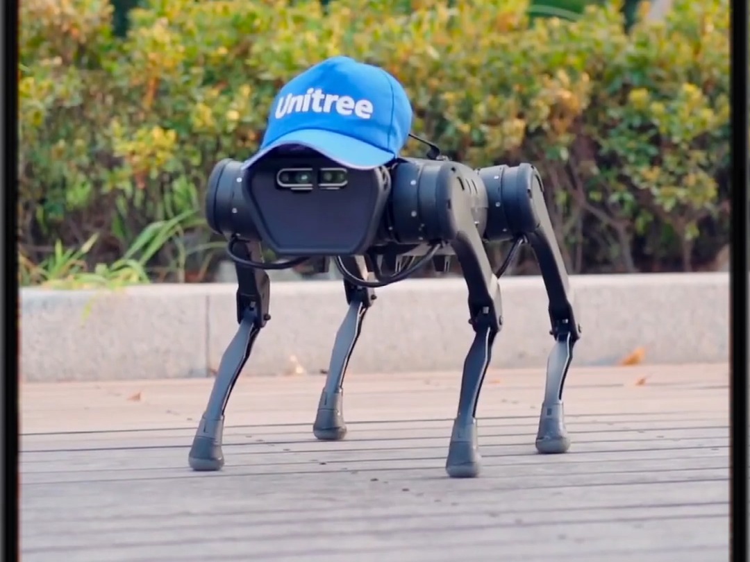 国产机器狗的灵活性