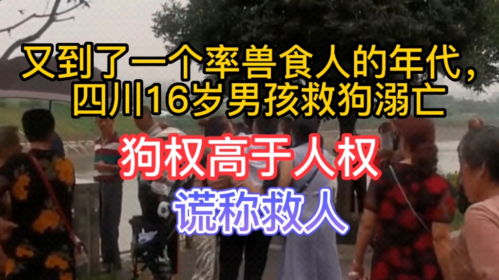 又到了一个率兽食人的年代,四川16岁男孩救狗溺亡狗权高于人权哔哩哔哩bilibili