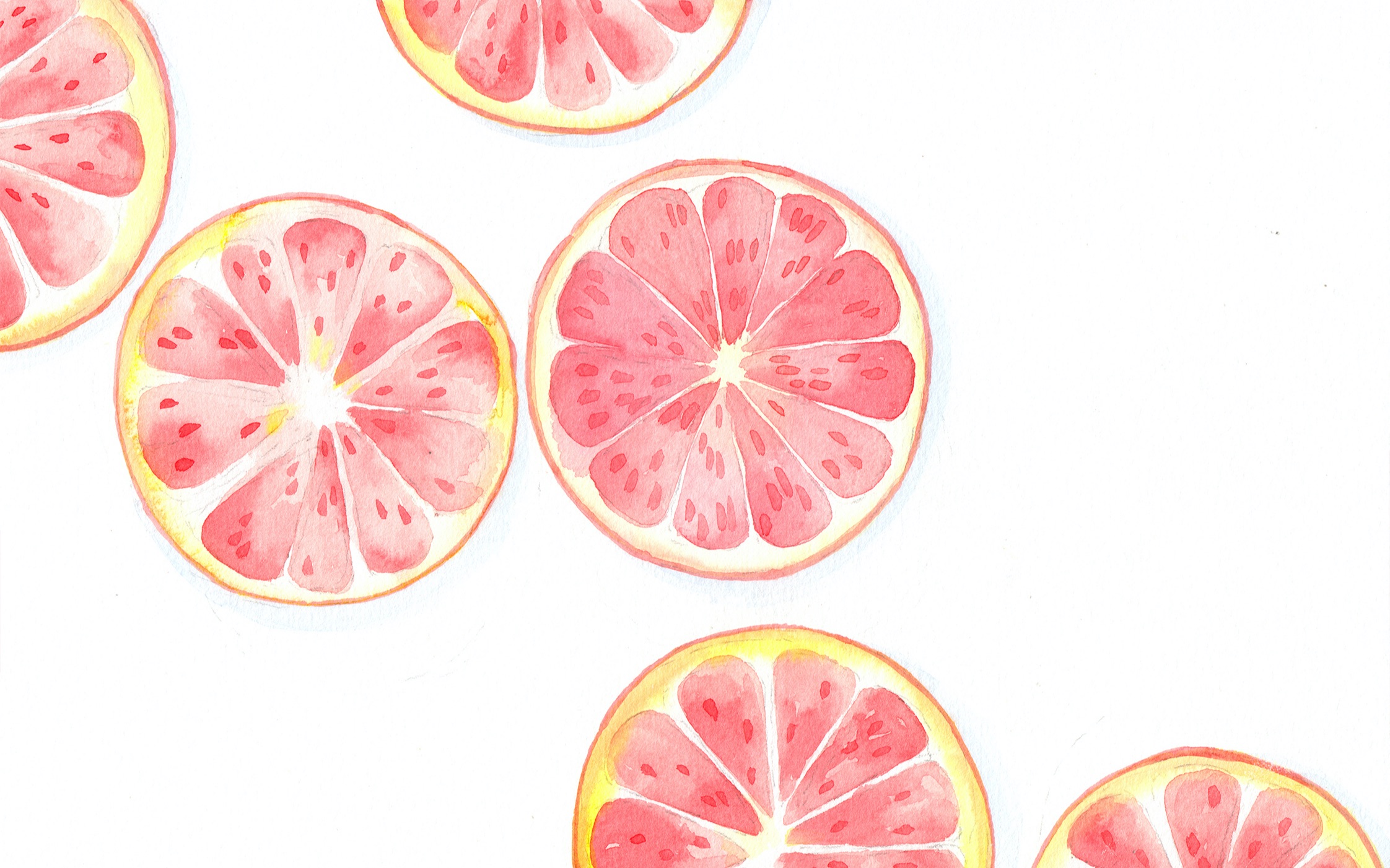 简单容易,一学就会的水彩葡萄柚画法